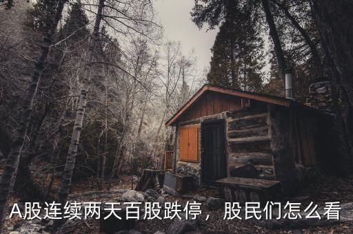 A股連續(xù)兩天百股跌停，股民們怎么看