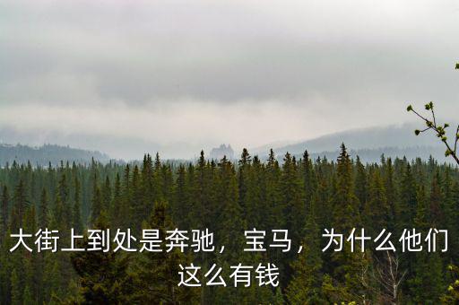 大街上到處是奔馳，寶馬，為什么他們這么有錢