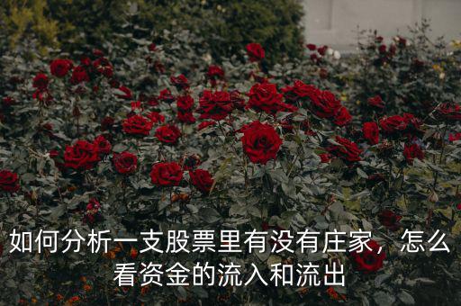 如何分析一支股票里有沒有莊家，怎么看資金的流入和流出
