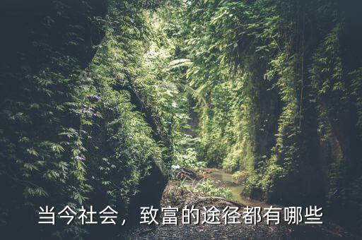 當今社會，致富的途徑都有哪些