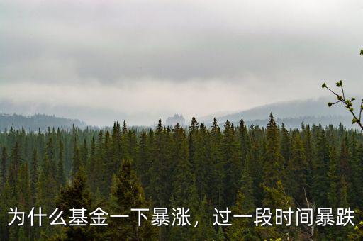 為什么基金一下暴漲，過一段時間暴跌