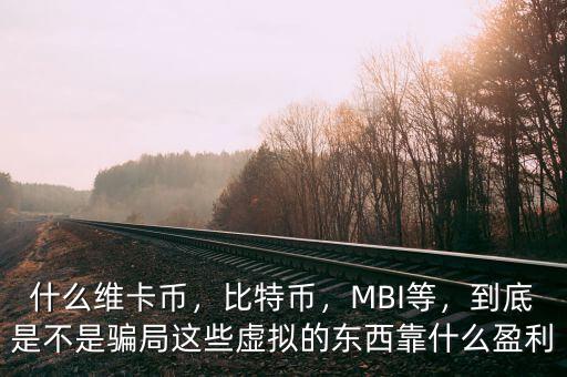 什么維卡幣，比特幣，MBI等，到底是不是騙局這些虛擬的東西靠什么盈利