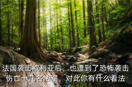 法國襲擊敘利亞后，也遭到了恐怖襲擊傷亡十幾名法軍，對此你有什么看法