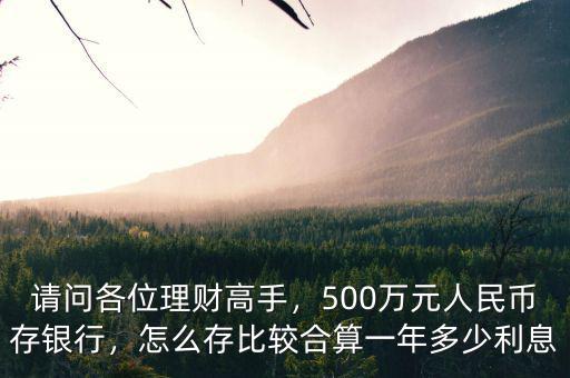請問各位理財高手，500萬元人民幣存銀行，怎么存比較合算一年多少利息