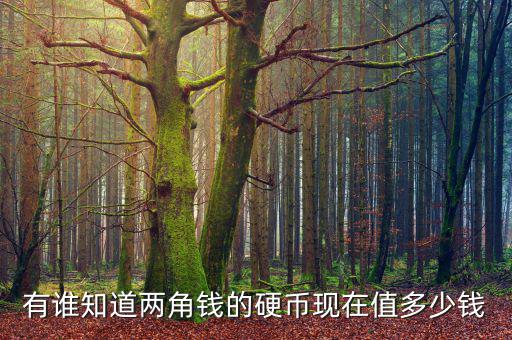 1980貳角硬幣值多少錢,現在值多少錢