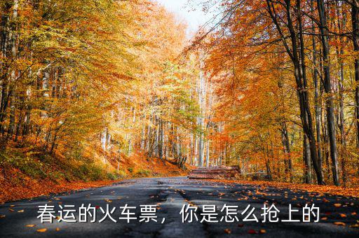 春運(yùn)的火車(chē)票，你是怎么搶上的