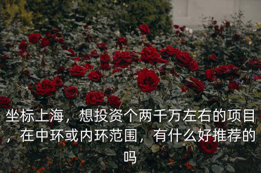 坐標上海，想投資個兩千萬左右的項目，在中環(huán)或內環(huán)范圍，有什么好推薦的嗎