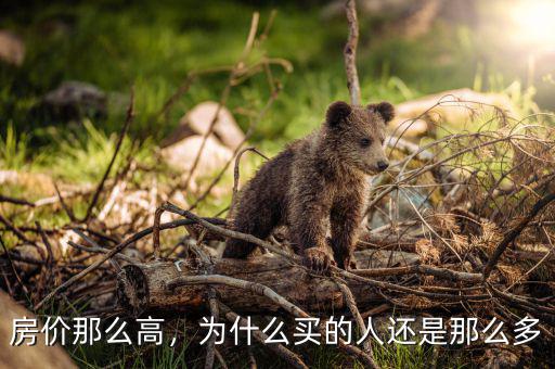 房?jī)r(jià)那么高，為什么買的人還是那么多