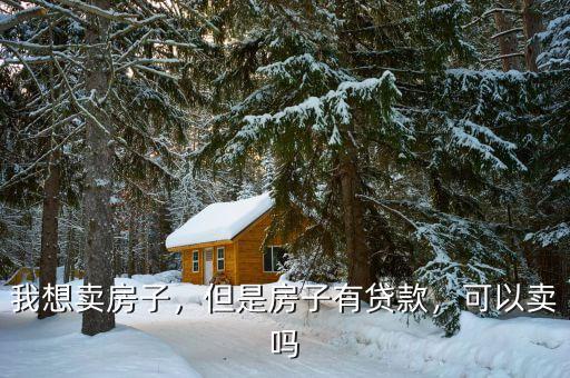 我想賣房子，但是房子有貸款，可以賣嗎