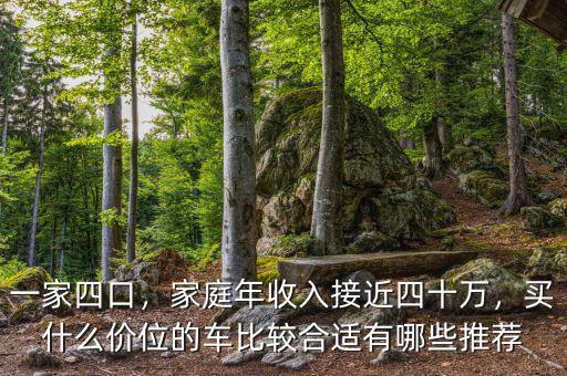一家四口，家庭年收入接近四十萬，買什么價位的車比較合適有哪些推薦