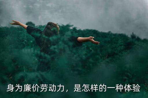 身為廉價(jià)勞動力，是怎樣的一種體驗(yàn)