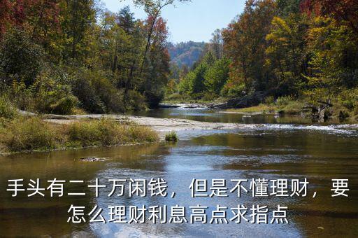 手頭有二十萬閑錢，但是不懂理財，要怎么理財利息高點求指點