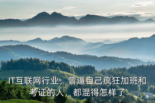 IT互聯(lián)網(wǎng)行業(yè)，曾逼自己瘋狂加班和考證的人，都混得怎樣了