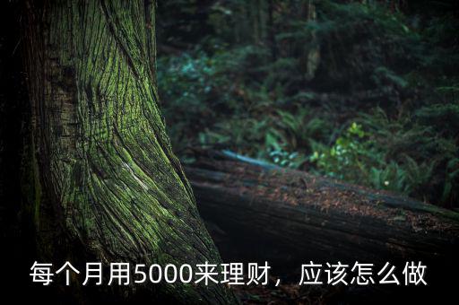 每個(gè)月用5000來理財(cái)，應(yīng)該怎么做