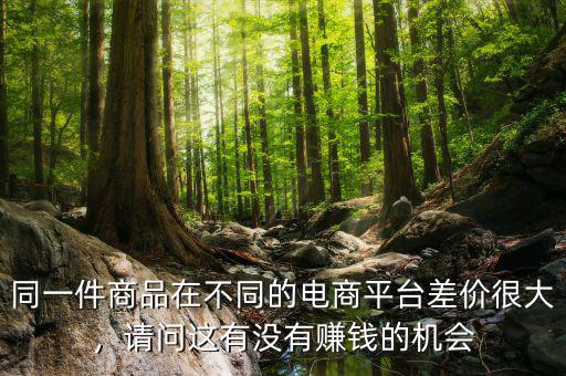 同一件商品在不同的電商平臺差價很大，請問這有沒有賺錢的機會