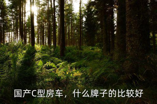國產C型房車，什么牌子的比較好