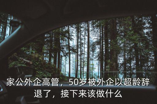 家公外企高管，50歲被外企以超齡辭退了，接下來(lái)該做什么