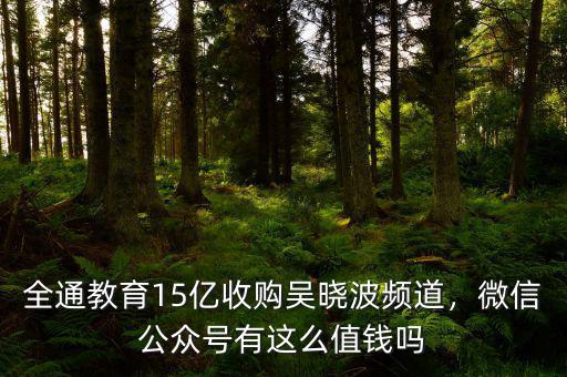 全通教育15億收購(gòu)吳曉波頻道，微信公眾號(hào)有這么值錢嗎