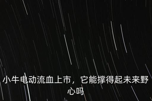 小牛電動(dòng)流血上市，它能撐得起未來野心嗎
