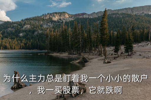 為什么主力總是盯著我一個(gè)小小的散戶，我一買股票，它就跌啊