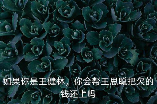 如果你是王健林，你會(huì)幫王思聰把欠的錢(qián)還上嗎