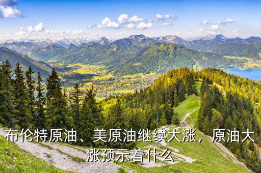 布倫特原油、美原油繼續(xù)大漲，原油大漲預(yù)示著什么
