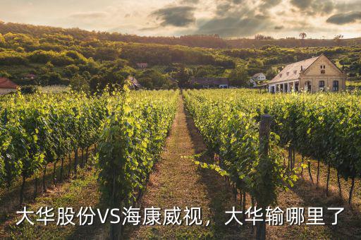 ?？低曉趺闯钟泄煞?寧德時(shí)代和?？低?/></a></span><span id=