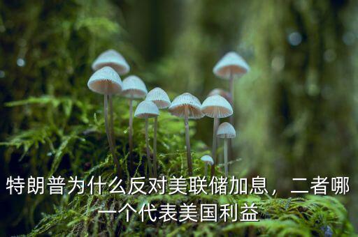 特朗普為什么反對(duì)美聯(lián)儲(chǔ)加息，二者哪一個(gè)代表美國利益