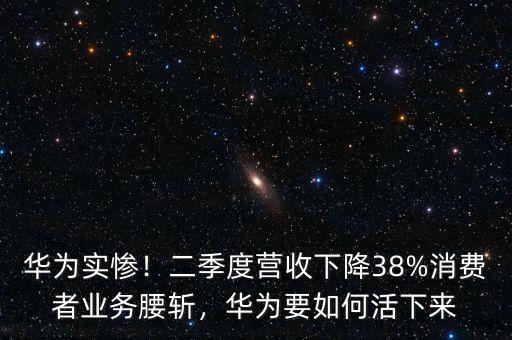 華為實慘！二季度營收下降38%消費者業(yè)務(wù)腰斬，華為要如何活下來
