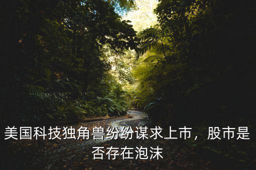 美國(guó)科技獨(dú)角獸紛紛謀求上市，股市是否存在泡沫