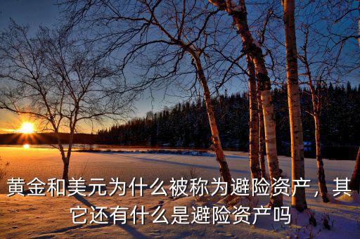黃金和美元為什么被稱為避險資產(chǎn)，其它還有什么是避險資產(chǎn)嗎