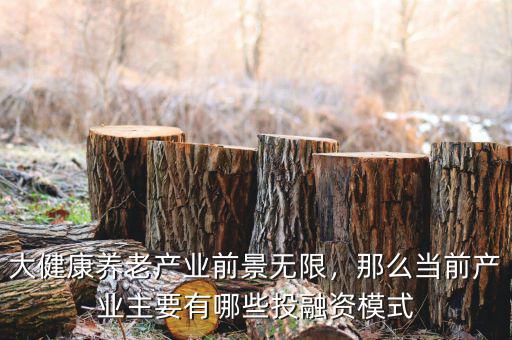 大健康養(yǎng)老產(chǎn)業(yè)前景無限，那么當前產(chǎn)業(yè)主要有哪些投融資模式