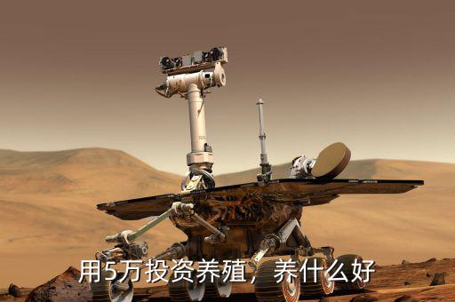 用5萬(wàn)投資養(yǎng)殖，養(yǎng)什么好