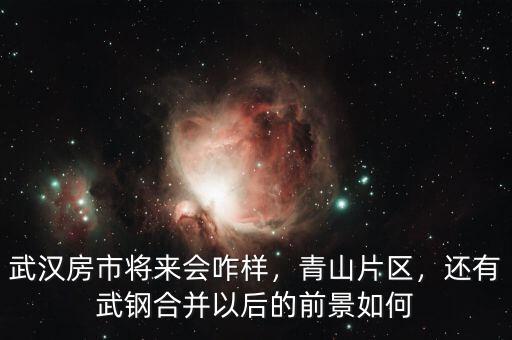 武漢房市將來(lái)會(huì)咋樣，青山片區(qū)，還有武鋼合并以后的前景如何