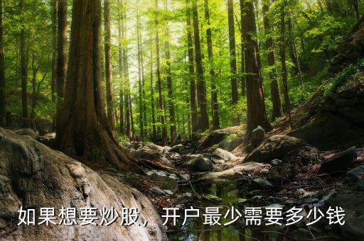 如果想要炒股，開戶最少需要多少錢