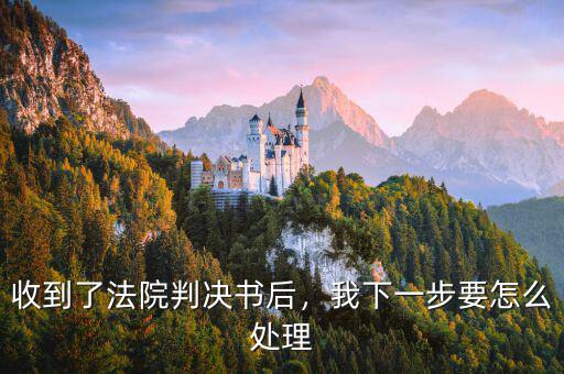 收到了法院判決書后，我下一步要怎么處理