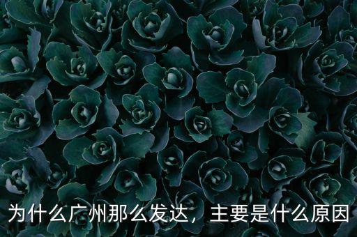 為什么廣州那么發(fā)達(dá)，主要是什么原因