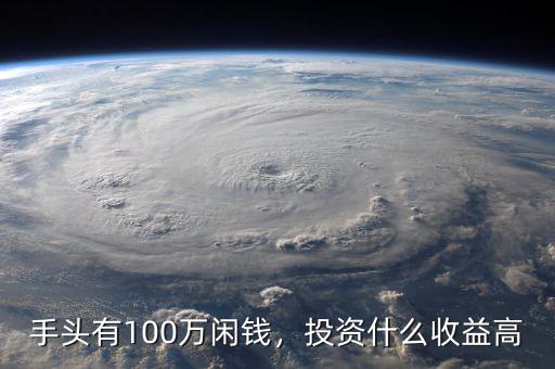 手頭有100萬閑錢，投資什么收益高