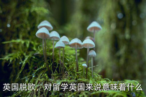 英國(guó)脫歐，對(duì)留學(xué)英國(guó)來(lái)說(shuō)意味著什么