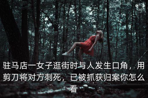 駐馬店一女子逛街時(shí)與人發(fā)生口角，用剪刀將對(duì)方刺死，已被抓獲歸案你怎么看