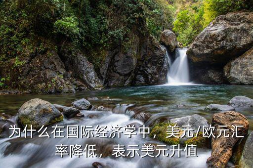 為什么在國際經(jīng)濟(jì)學(xué)中，美元/歐元匯率降低，表示美元升值