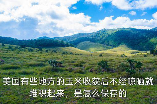 美國(guó)有些地方的玉米收獲后不經(jīng)晾曬就堆積起來，是怎么保存的