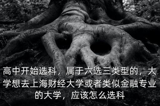高中開始選科，屬于六選三類型的，大學(xué)想去上海財(cái)經(jīng)大學(xué)或者類似金融專業(yè)的大學(xué)，應(yīng)該怎么選科