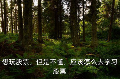 想玩股票，但是不懂，應(yīng)該怎么去學(xué)習(xí)股票