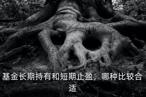 基金長期持有和短期止盈，哪種比較合適