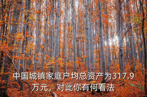 中國城鎮(zhèn)家庭戶均總資產(chǎn)為317.9萬元，對此你有何看法