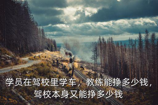 學(xué)員在駕校里學(xué)車，教練能掙多少錢，駕校本身又能掙多少錢