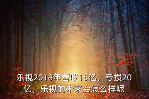 樂視2018年營收16億，虧損20億，樂視的未來會怎么樣呢