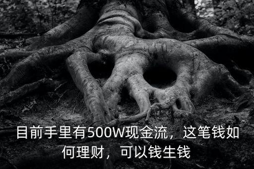 目前手里有500W現(xiàn)金流，這筆錢如何理財(cái)，可以錢生錢