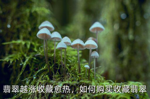 翡翠越漲收藏愈熱，如何購買收藏翡翠
